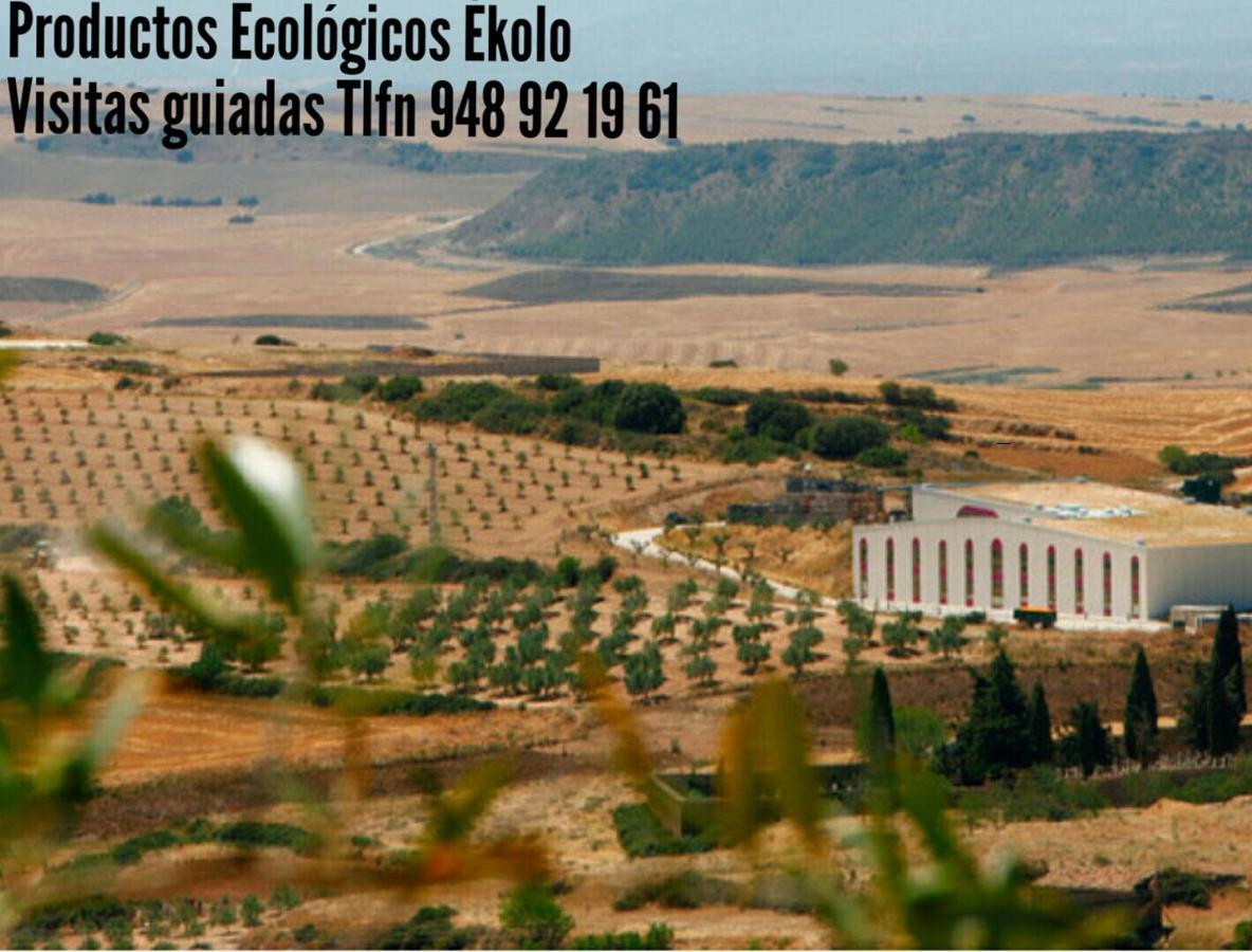 Greta Etxea Villa Arroniz Buitenkant foto
